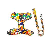 Correa for el Pecho y la Espalda for Mascotas, Cuerda for pasear Perros pequeños, Correa for Perros Corgi Teddy, Juego de Dos Piezas