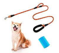 Correa Fuerte para Perros de 1,8 m de Largo, 1 cm de Ancho con cómodo asa Acolchada e Hilos Altamente Reflectantes para Perros pequeños y medianos, Junta tórica y Peine de Doble Cara