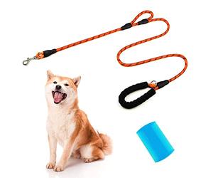 Correa Fuerte para Perros de 1,8 m de Largo, 1 cm de Ancho con cómodo asa Acolchada e Hilos Altamente Reflectantes para Perros pequeños y medianos, Junta tórica y Peine de Doble Cara