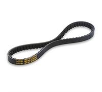 Correa Malossi K Belt - SkIPPER LX 125 2T