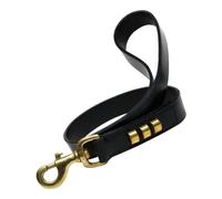 Correa para Perro Gloria Duna 2,5 x 60 cm Negro