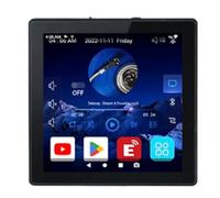 Correa Mini 8 Ohm Android 10.0 WiFi Inteligente Bluetooth 2X25W Estéreo Cine en Casa Música de Fondo Amplificador de Pared Negro
