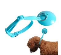 Correa para aseo de perros con ventosa - Correa para aseo de perros | Correa de retención para lavado | Herramientas para el aseo del perro de compañía con collar ajustable de sí