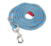 Correa para Caballo de Nailon Engrosado, Cuerda Resistente a tirones para adiestramiento equino con Gancho de aleación, Correa de 6,6 pies para Ganado y Mascotas para un manejo seg (Gris Azulado)