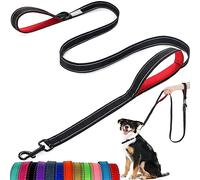 Correa para Perro: con Dos Asas Acolchadas, Dos Modos de Correa para Perro, Correa de Nailon Reflectante de Doble Cara para Entrenamiento y Caminar, Perros medianos