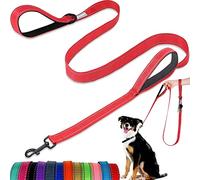 Correa para Perro, con Dos Asas Acolchadas, Dos Modos de Correa para Perro, Correa Reflectante de Nailon de Doble Cara para Entrenar y Caminar, Perros medianos y Grandes