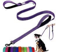 Correa para Perro, con Dos Asas Acolchadas, Dos Modos de Correa para Perro, Correa Reflectante de Nailon de Doble Cara para Entrenar y Caminar, Perros medianos