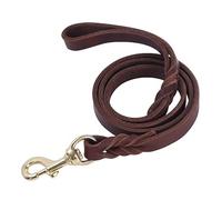 Correa para perro, correa de cuero para perro con cierre resistente para perros de razas grandes, medianas y pequeñas