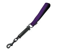 Correa para Perro Gloria 41 cm Morado