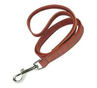 Correa para Perro Gloria Oasis 1.5 x 100 cm Rojo