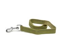 Correa para Perro Gloria Oasis 1.5 x 100 cm Verde