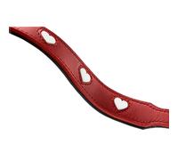 Correa para Perro Hunter Rojo 2 m Ajustable