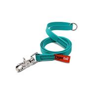 Correa para perro Tiger Tail | Urban Nomad Dog Band, compacta, impermeable y resistente a los olores