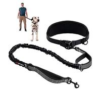 Correa para Perro Tuff Pupper Resistente con Manos Libres | Un Perro Grande hasta 55 kg | Cómodo elástico Que Absorbe los Golpes | Asas Acolchadas Reflectantes | Cinturón Lumbar 55-110 cm