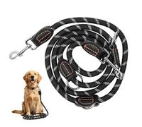 Correa para perros ajustable, resistente a la intemperie y resistente al desgarro, con 2 mosquetones, 1,3 x 200 cm, 1,3 x 300 cm, doble correa de nailon resistente, para perros grandes y medianos (2 m