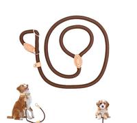 Correa para perros, correa para perros, correa trenzada multifunción para perros pequeños y grandes, correa ajustable ligera y resistente, 2,1 m de largo x 10 mm