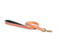 Correa para perros de 3 posiciones Bobby Walk 2x100 cm