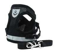 Correa para Perros de Mascotas Ajustables con Chaleco de Seguridad y Correa para el Cuello, una Tira de fósforo cómoda y Reflectante para la Seguridad Nocturna (XL)