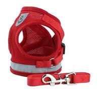 Correa para Perros de Mascotas Ajustables con Chaleco de Seguridad y Correa para el Cuello, una Tira de fósforo cómoda y Reflectante para la Seguridad Nocturna (XS)