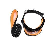 Correa Para Perros Gatos Collar De Nailon Para Perros Y Mascotas, Correas De Entrenamiento Ajustables, Collares De Seguridad Para Perros Pequeños Y Medianos Productos Para Mascotas(Oranje,2.0cm*120cm)