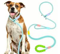 Correa para perros grandes y medianos con correa auxiliar, correa de 1,5 m para perros, correa para el cuello, correa para correr, correr, senderismo, ajustable, no requiere collar o arnés (verde)