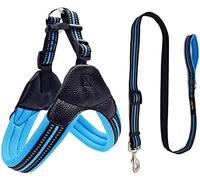 Correa Perro Arnés De Malla De Nailon Transpirable para Perros, Arnés Y Correa Ajustables Reflectantes para Perros, Correa para Mascotas Correa Perro Suave(Blue,70-75cm)