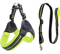 Correa Perro Arnés De Malla De Nailon Transpirable para Perros, Arnés Y Correa Ajustables Reflectantes para Perros, Correa para Mascotas Correa Perro Suave(Grün,70-75cm)