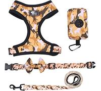 Correa Perro Arnés para Perros, Chaleco, Correa Y Collar, Conjunto para Perros Pequeños, Correa De Pecho Ajustable para Mascotas, Conjunto De Correa Ajustable Correa Perro Suave(Oranje,29-40cm)