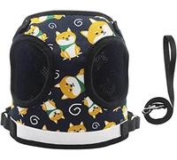 Correa Perro Chaleco con Correa para El Pecho Cuerda De Tracción Reflectante para Mascotas Caminar Pequeño Y Collar Correa para Perros Arnés Correas De Plomo Correa Perro Suave(Black,24-27cm)