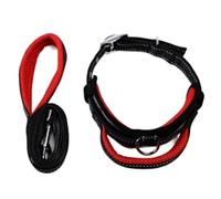 Correa Perro Collar De Nailon para Perros Y Mascotas, Correas De Entrenamiento Ajustables, Collares De Seguridad para Perros Pequeños Y Medianos Correa Perro Suave(Rot,2.5cm*120cm)