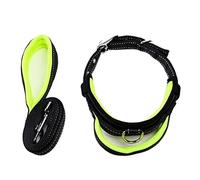 Correa Perro Collar De Nailon para Perros Y Mascotas, Correas De Entrenamiento Ajustables, Collares De Seguridad para Perros Pequeños Y Medianos Correa Perro Suave(Grün,2.0cm*120cm)