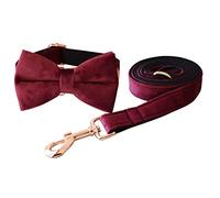 Correa Perro Collar De Nailon Personalizado para Perro, Correa, Arnés, Bolsa para Caca, Conjunto De Collares De Perro Impresos Ajustables para Mascotas Correa Perro Suave(33-51cm)