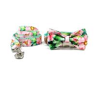 Correa Perro Collar De Perro con Lazo para Perros Pequeños, Collar De Mascota con Grabado Personalizado, Conjunto De Collar Y Correa Ajustable con Estampado Duradero Correa Perro Suave(49-55cm)