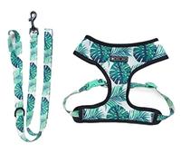 Correa Perro Collar De Perro De Nailon, Correa De Arnés, Sin Tirones, A Prueba De Escape, Conjunto De Correa De Collar Para Mascotas, Collares Estampados Para Mascotas Con Pajarita Correa Perro Suave(