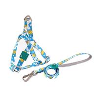 Correa Perro Collar De Perro De Poliéster, Conjunto De Cinturón, Correa De Pecho Personalizada Para Mascotas, Conjunto De Cuerda De Tracción, Arnés De Cinturón De Seguridad Correa Perro Suave(Blue,50-