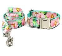 Correa Perro Collar para Perro Mascota, Estampado Floral Rosa Personalizado, Bonito Conjunto De Collar Y Correa para Perro, Hebilla De Liberación Rápida Correa Perro Suave(23-30cm)