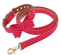 Correa Perro Collar Y Correa para Perro, Conjunto De Cuero para Mascotas, Collar con Lazo para Gatos, Correa para Collar De Perro con Cuerda De Plomo Y Lunares Correa Perro Suave(33-51cm)