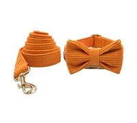 Correa Perro Correa De Cadena De Perro con Hebilla De Acero Inoxidable Duradera, Collar De Pajarita, Cadena Fuerte De Oro Y Plata para Perros Correa Perro Suave(23-30cm)