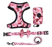 Correa Perro Correr Arnés para Perros, Chaleco, Correa Y Collar, Conjunto para Pequeños, De Pecho Ajustable para Mascotas Antideslizantes Reforzada(Pink,29-40cm)