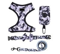 Correa Perro Correr Arnés para Perros, Chaleco, Correa Y Collar, Conjunto para Pequeños, De Pecho Ajustable para Mascotas Antideslizantes Reforzada(Purple,46-62cm)