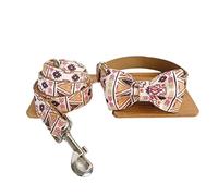 Correa Perro Correr Collar De Perro Diseño Genérico con Lazo Patrón Personalizado Juego Correa Ajustable Antideslizantes Reforzada(31-41cm)