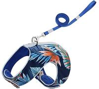 Correa Perro Correr Juego De Arnés Y Correa para Mascotas para Perros Pequeños, Chaleco para Cachorros Gatos, Collar para Pug Bulldog Antideslizantes Reforzada(Blue,26-30cm)