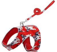 Correa Perro Correr Juego De Arnés Y Correa para Mascotas para Perros Pequeños, Chaleco para Cachorros Gatos, Collar para Pug Bulldog Antideslizantes Reforzada(Rot,26-30cm)