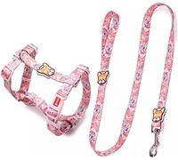 Correa Perro Correr Juego De Arnés Y Correa para Perros para Mascotas Pequeñas Medianas para Collar Cuerda Pug Pet Antideslizantes Reforzada(B)