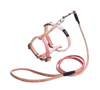 Correa Perro Cuerda De Tracción Anti-Break Away, Tipo De Chaleco para Caminar con Cuerda Collar De Cadena Retráctil Suministros para Mascotas Correa Perro Suave(Oranje,25-30cm)