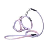 Correa Perro Cuerda De Tracción para Mascotas Conjunto De Collar De Arnés para El Pecho Cuerda Linda Mediana Y Grande Cuerda De Tracción Segura Y Duradera Correa Perro Suave(Purple,25-30cm)