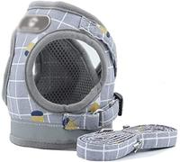 Correa Perro Eslinga Para Perros, Collar Para Cachorros Y Gatos, Chaleco De Malla Transpirable, Chaleco Ajustable Para Perros Pequeños, Correa Y Suministros Para Mascotas Correa Perro Suave(Blue,24-27