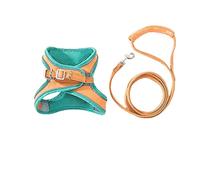 Correa Perro Juego De Arnés Y Correa para Mascotas para Perros, Chaleco para Cachorros Y Gatos, Collar De Arnés para Mascotas, Collar Cómodo Correa Perro Suave(Oranje,24-28cm)