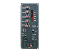 Correa Placa Decodificadora de MP3 con Perilla de Ajuste de Agudos y Graves. Compatible con Módulo Receptor de Audio MP3/WMA/WAV/Flac/Ape. Fácil de Usar.