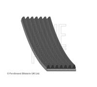 Correa poly V BLUE PRINT AD07R2672